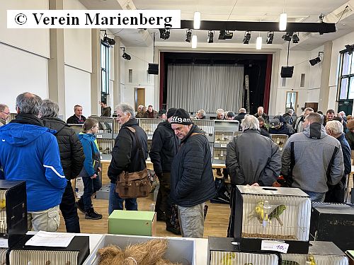 Vogelmarkt 2025