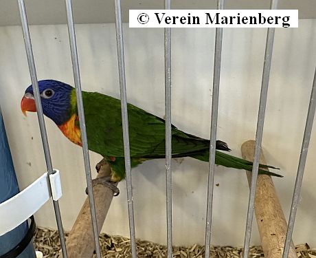 Vogelmarkt 2025