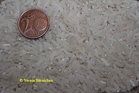 Reis weiß geschält und poliert