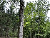 Naturschutz 2025