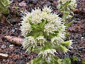 Nistkastenkontrolle 2026