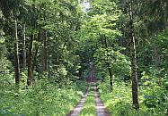 Naturschutz 2024