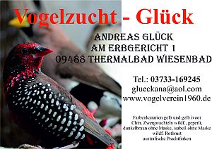 Vogelzucht Andreas Glück