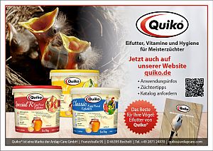 Quiko