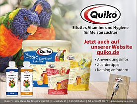 Quiko Ardap care