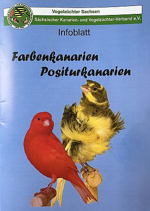 Farben und Positurkanarien