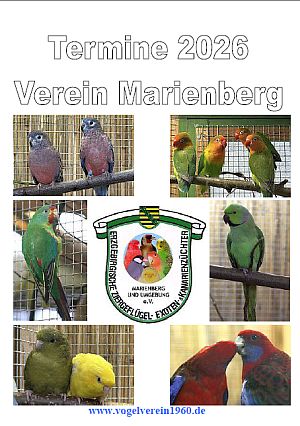 Vereinskalender 2026